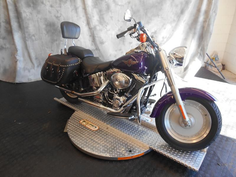 2001 Harley-Davidson FLSTF Standard 