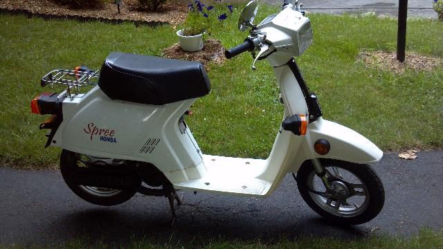 1984 HONDA SPREE SCOOTER Cleanest 1984 Honda Spree you will ever see