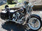 Used 1998 Harley-Davidson Heritage Springer Softail FLSTS For Sale