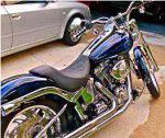 Used 2003 Harley-Davidson Softail Standard For Sale