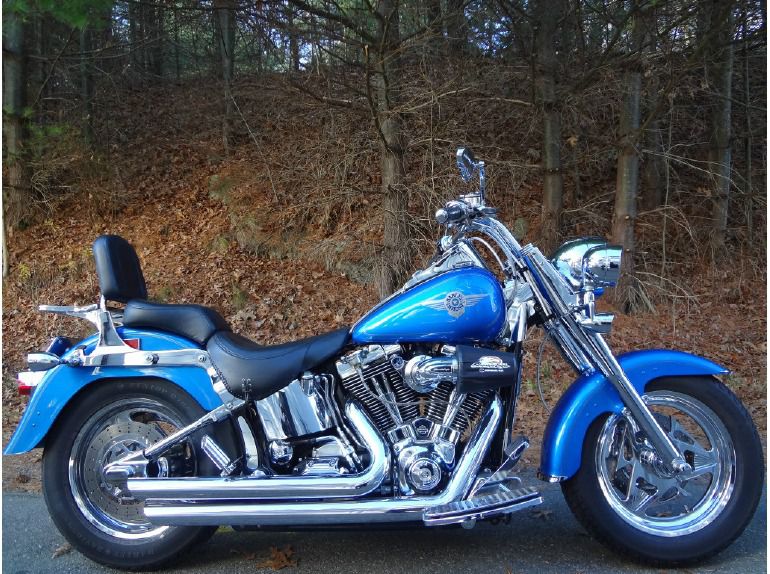 2002 Harley-Davidson FLSTFI Fat Boy 