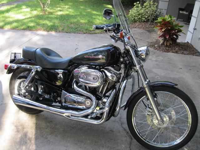 2005 Harley Davidson Sportster Custom 1200