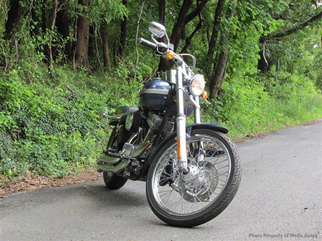 2003 Blue Harley Davidson Sorttail