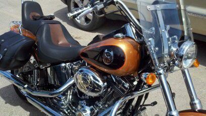 2008 Harley-Davidson Soft Tail Custom for sale