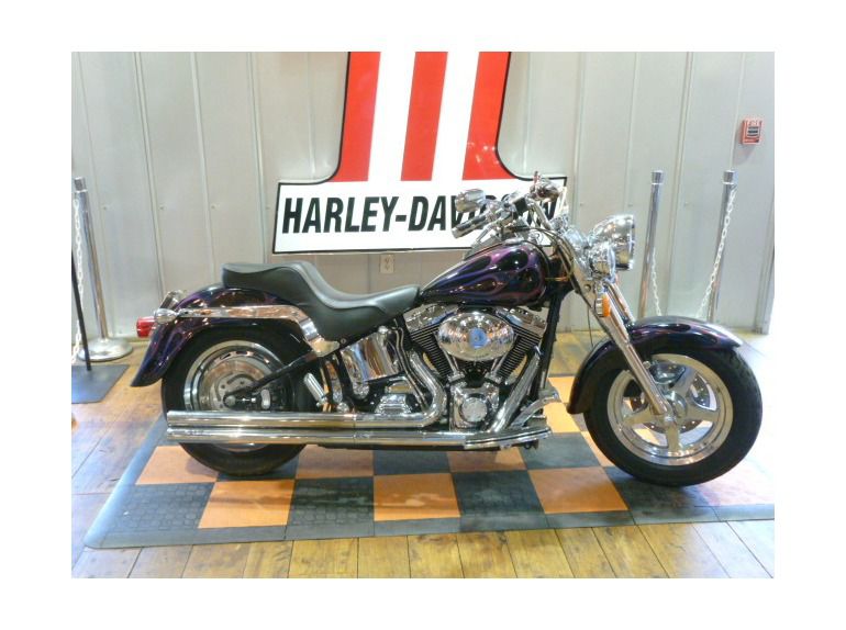 2000 Harley-Davidson FLSTF 