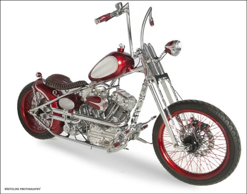 2010 Indian Larry 