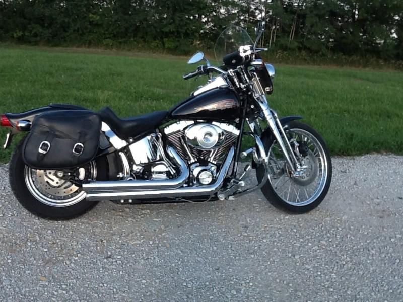 Harley Davidson Softail Springer 2002- GREAT BUY!!! EXCELLENT CONDITION!!!