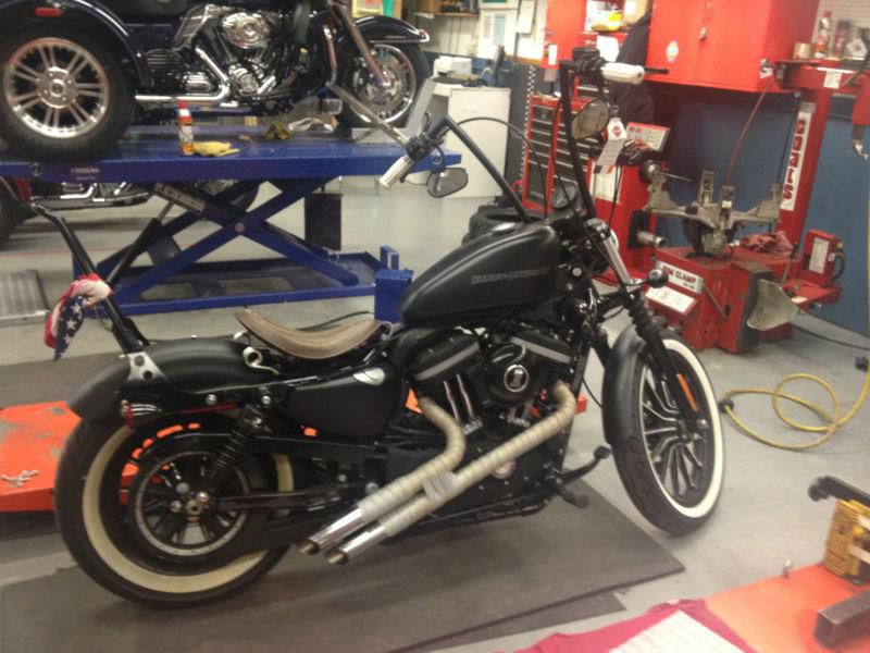 2011 Harley Davidson XL1200 Custom Bobber / Rat Bike