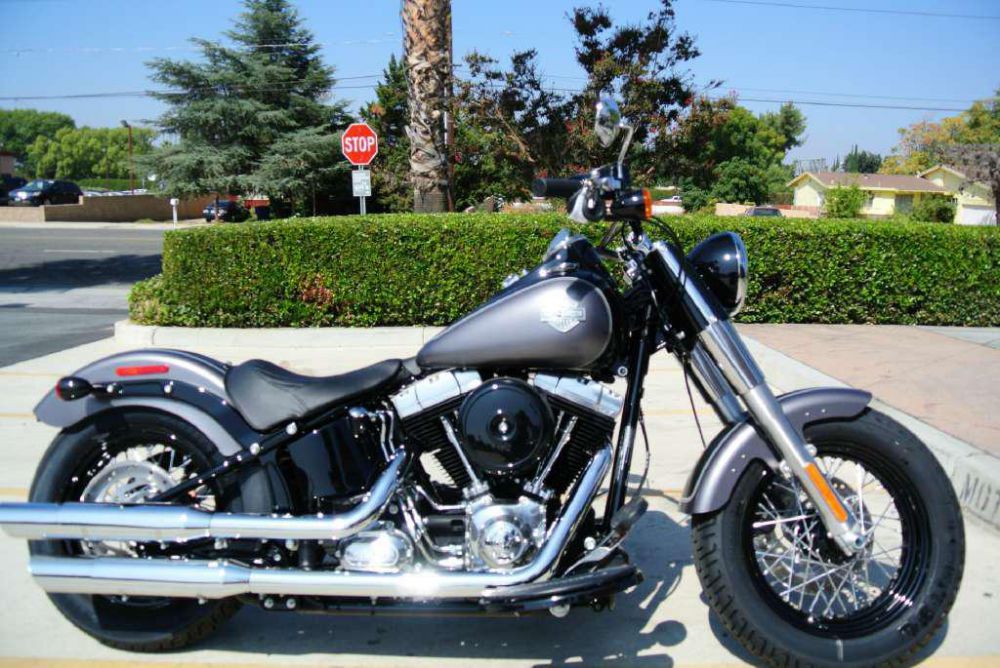 2014 Harley-Davidson FLS Softail Slim Cruiser 